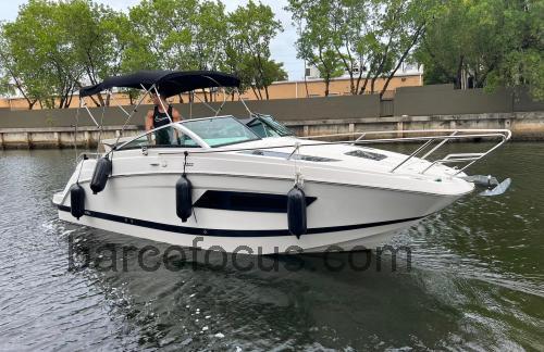 Four Winns Vista 255 ficha tecnica 